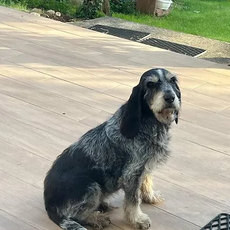 Appartement Le 38eme *