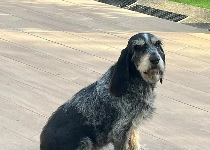 Le 38eme Апартаменты *